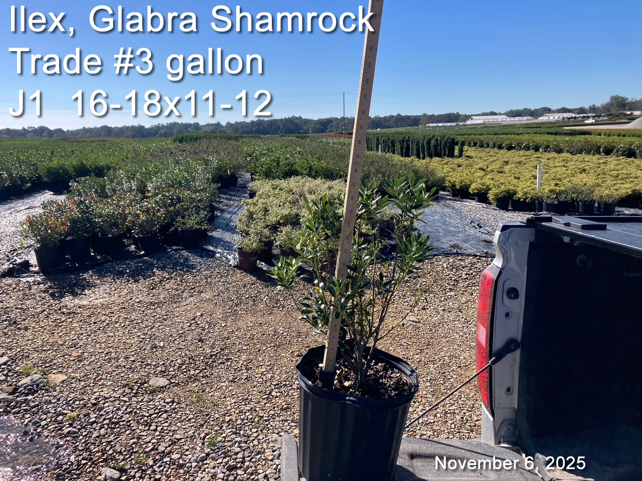 gallery/igs3t j1 nov6.jpg